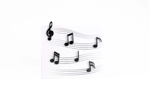 МАГНИТЫ MEMODY MAGNET (6 ШТ. / УПАК.), чёрные